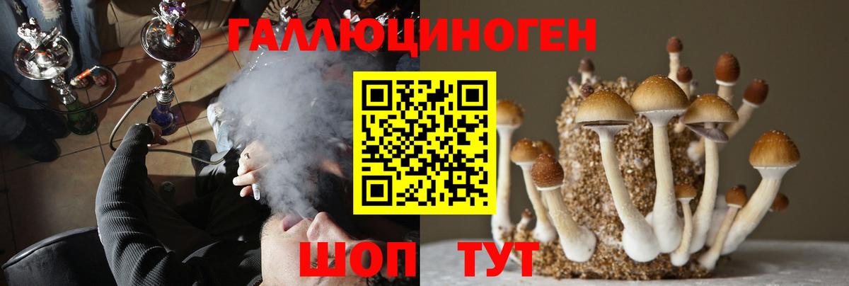 Псилоцибиновые грибы Magic Shrooms  Галлюциногенные грибы Magic Shrooms  Вход с VPN  Нурлат 
